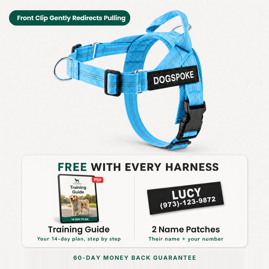 No-Pull Dog Harness