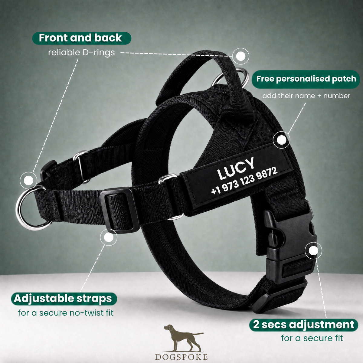 No-pull dog harness features: front and back D-rings, adjustable straps