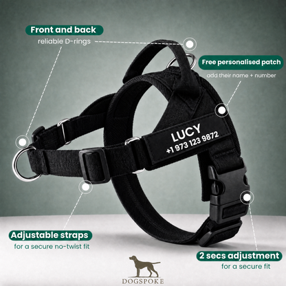 No-pull dog harness features: front and back D-rings, adjustable straps