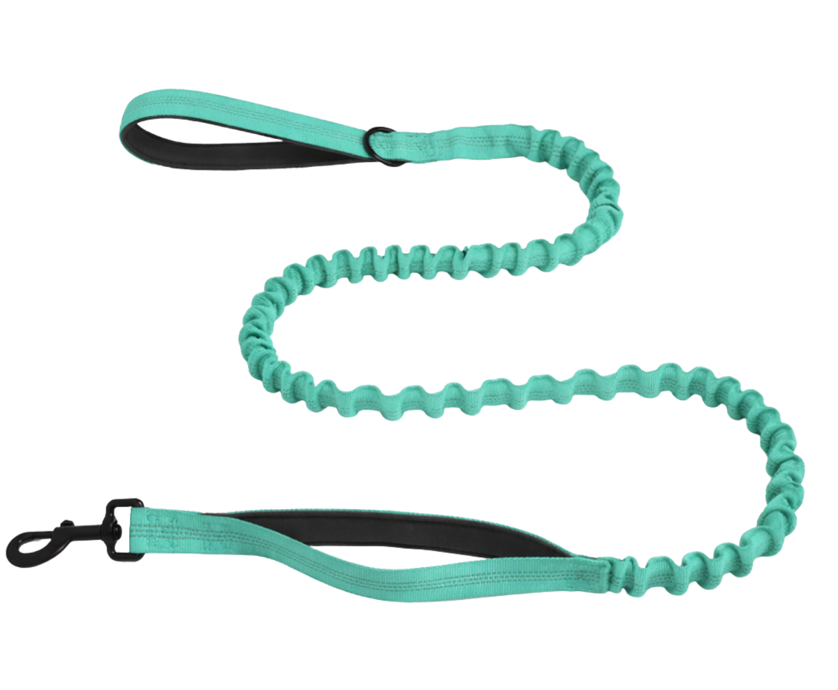 Reflective Bungee Leash