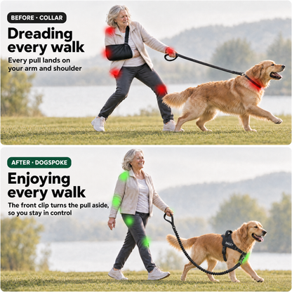 Older woman walking her golden retriever before and after using a front clip dog harness