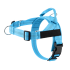 Turquoise Blue