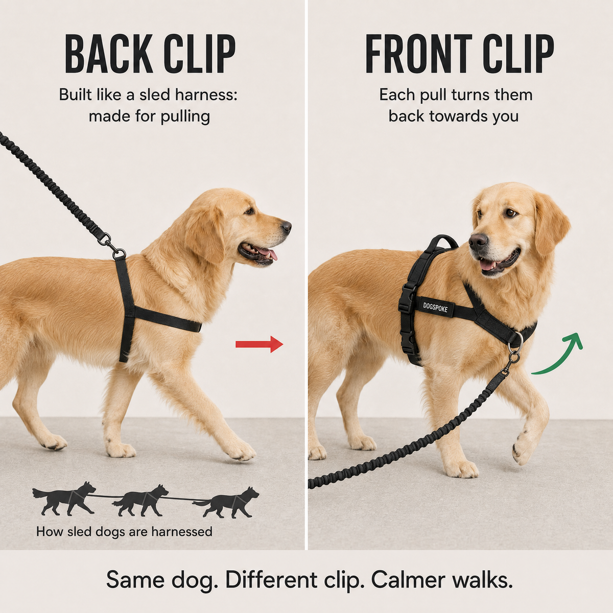 Back clip vs front clip dog harness comparison