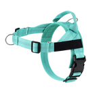 Light Turquoise