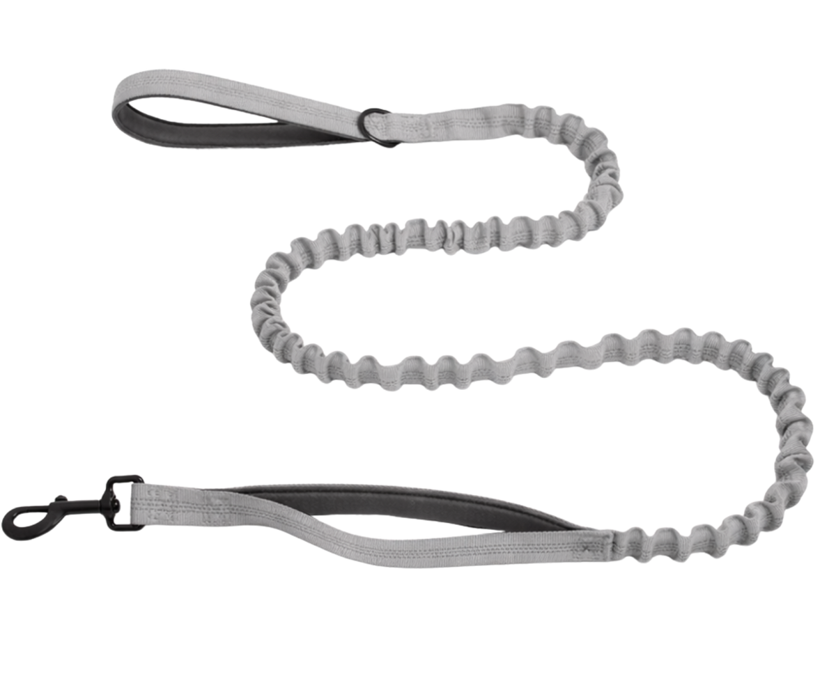 Reflective Bungee Leash