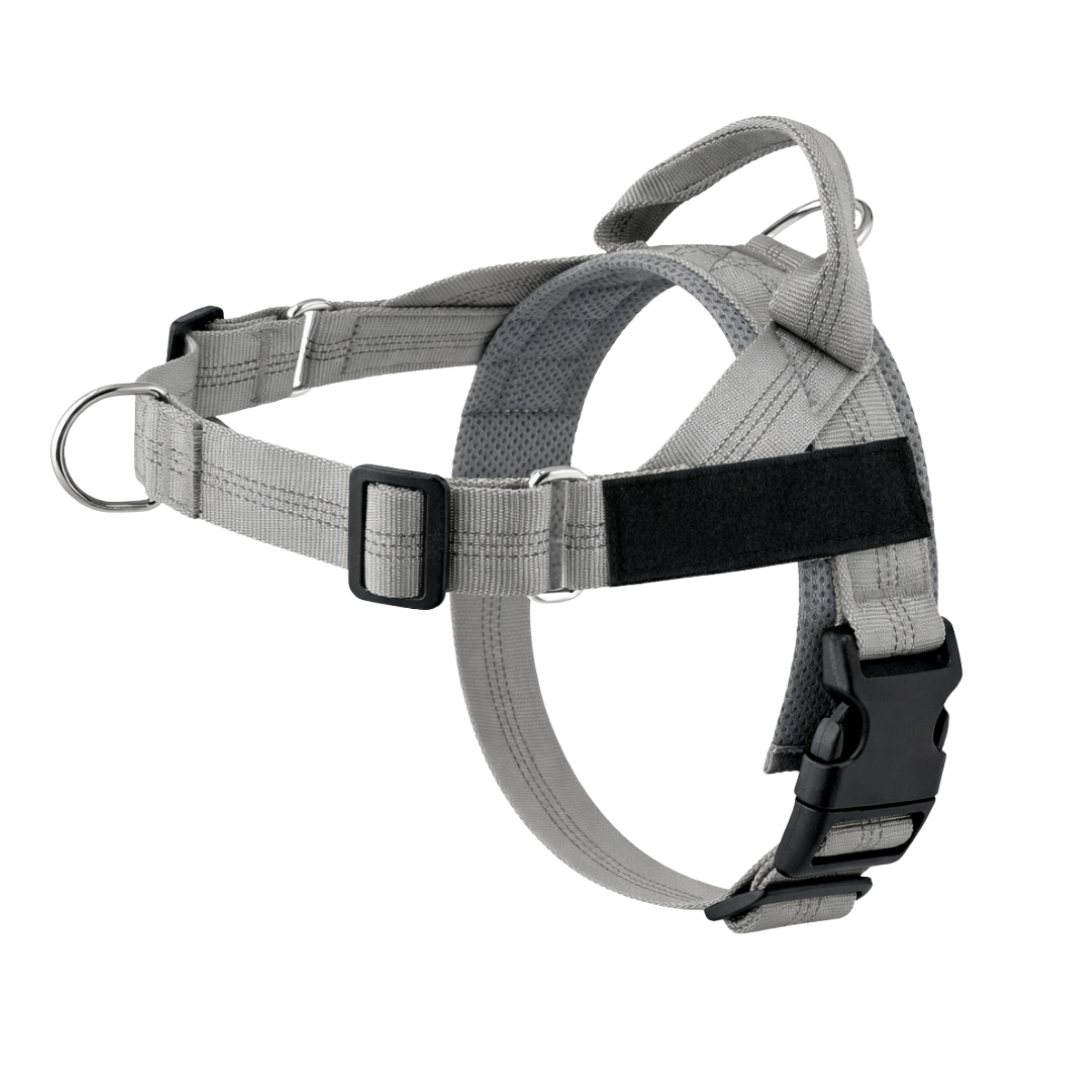 No-Pull Dog Harness