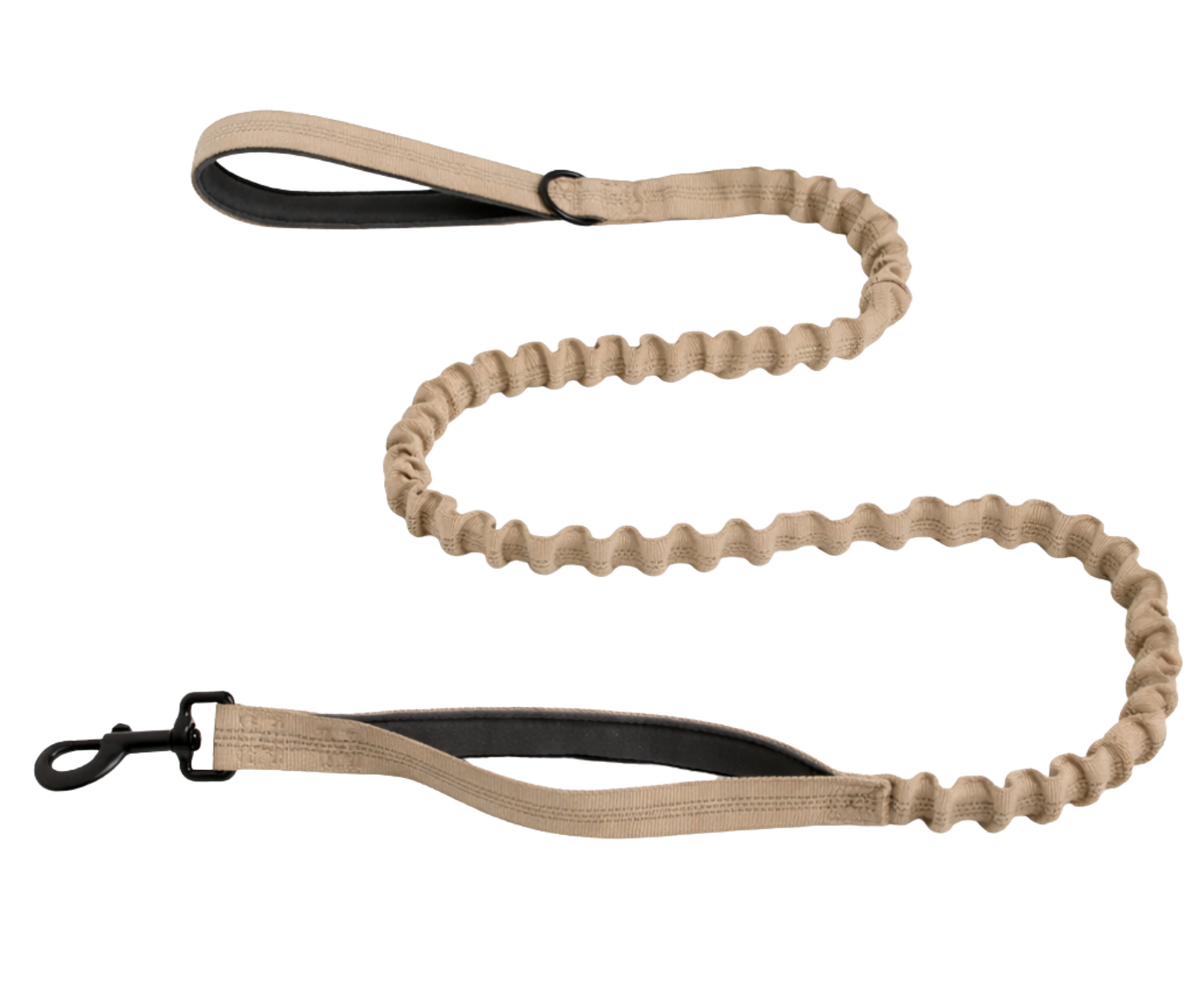 Reflective Bungee Leash