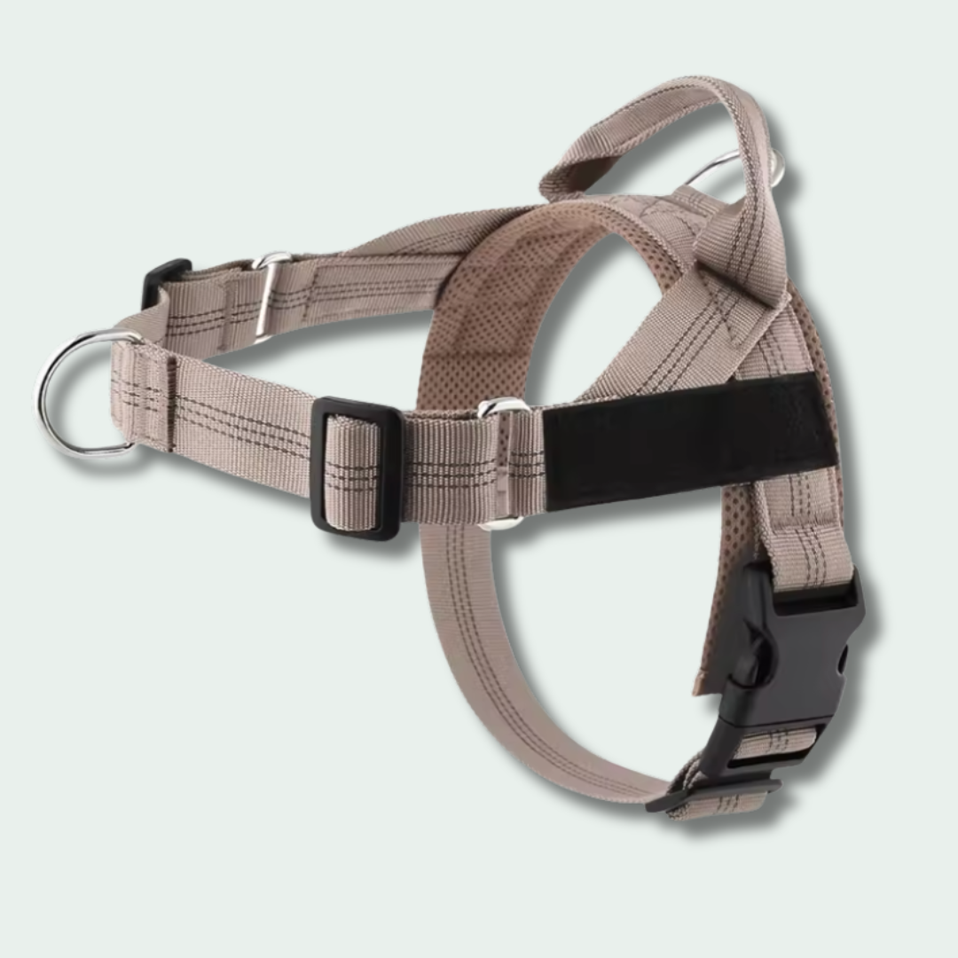 Arnés Antitirones para Perros DogSpoke™ RestEasy