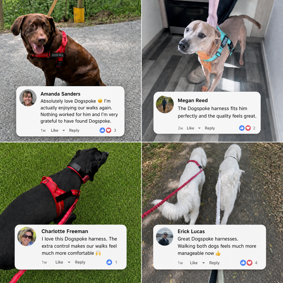 Customer reviews of the DOGSPOKE no-pull dog harness