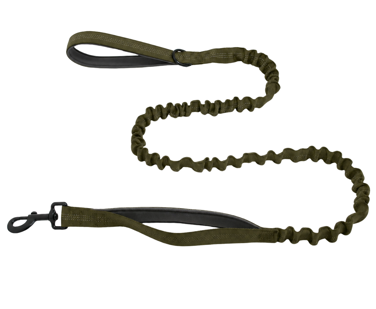 Reflective Bungee Leash