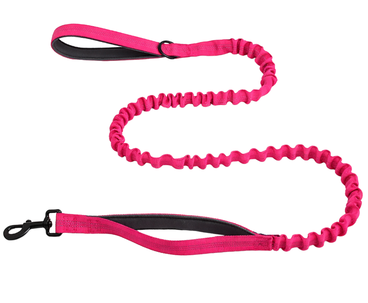 Reflective Bungee Leash