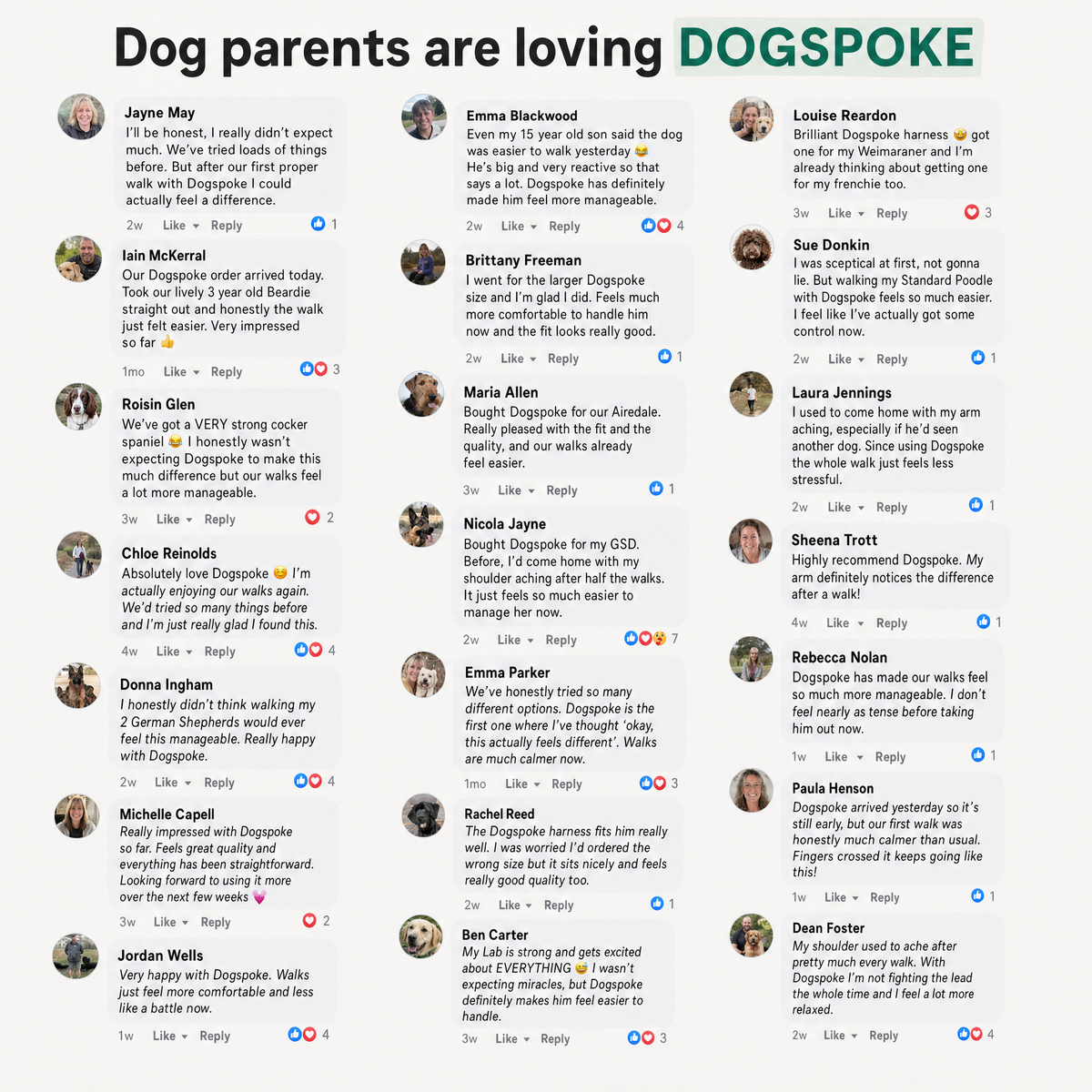 Dog owners' comments about the DOGSPOKE harness