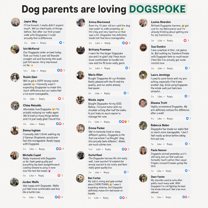 Dog owners' comments about the DOGSPOKE harness