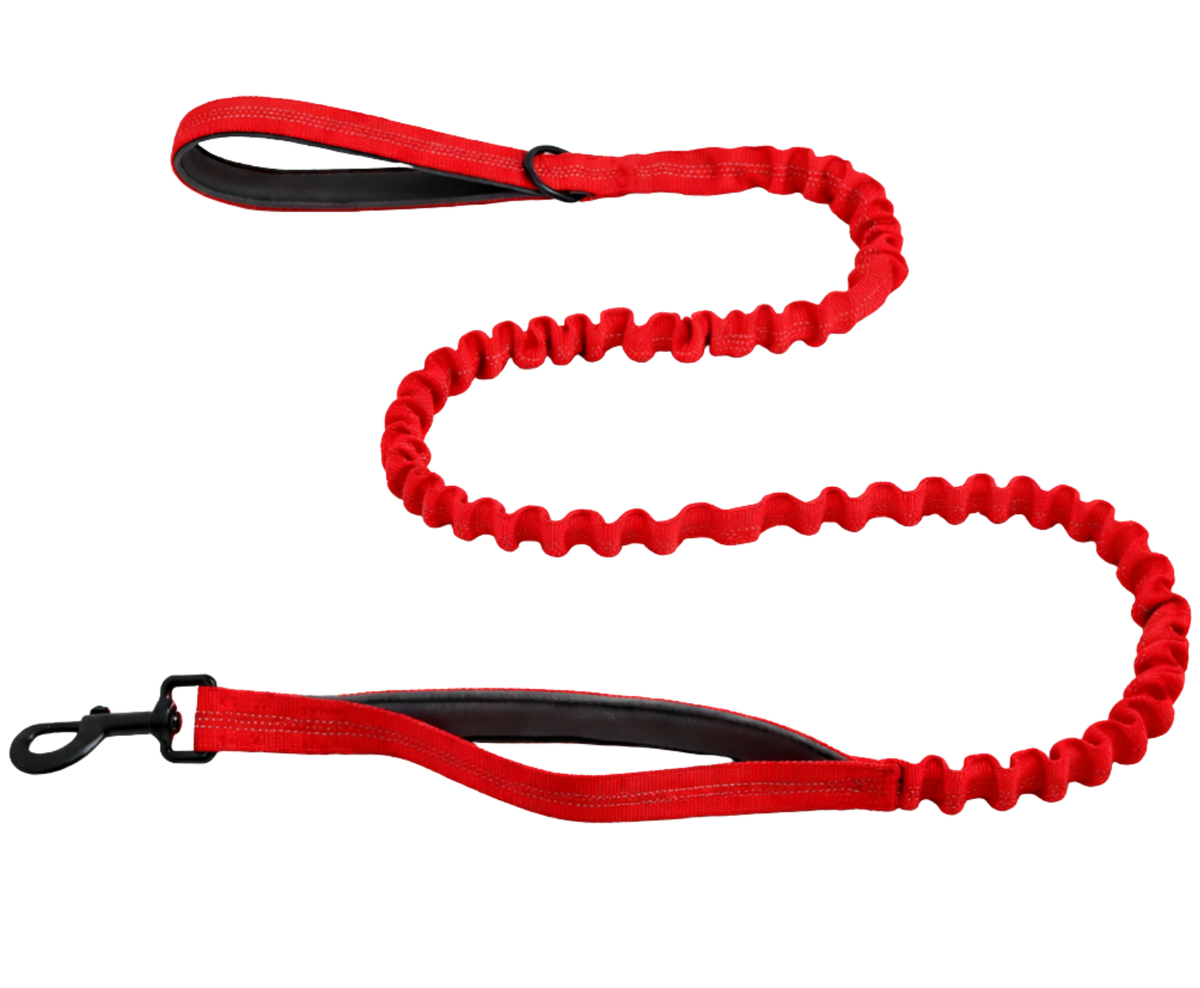 Reflective Bungee Leash