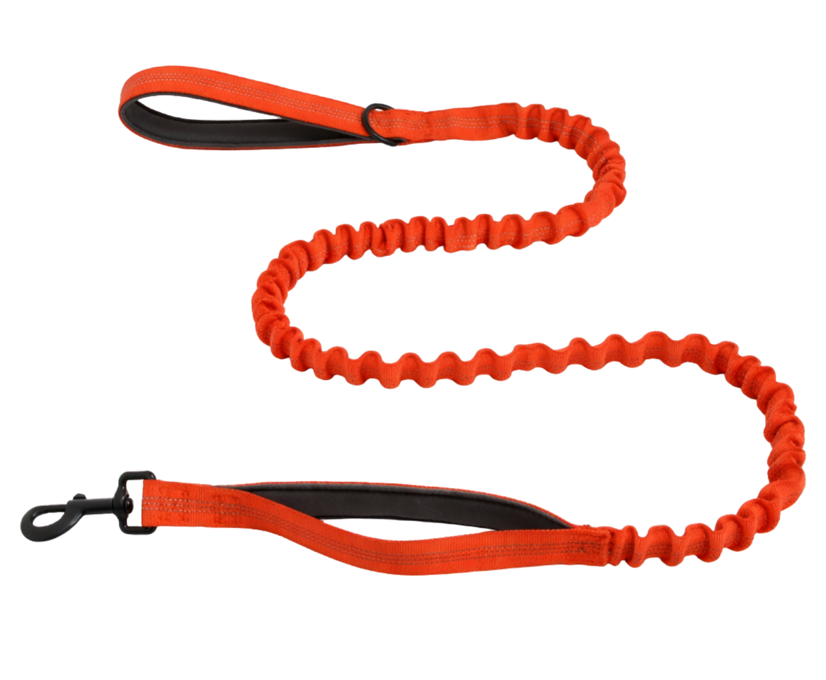 Reflective Bungee Leash