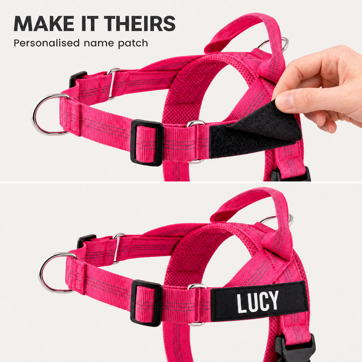 Personalised velcro name patch on a dog harness