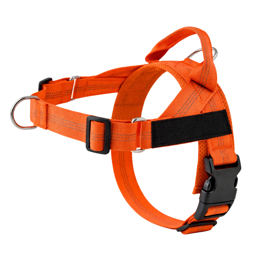 No-Pull Dog Harness