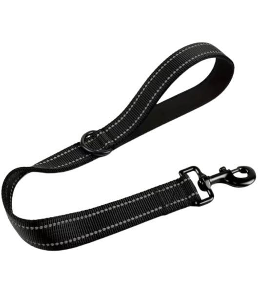 Reflective Training Dog Leash