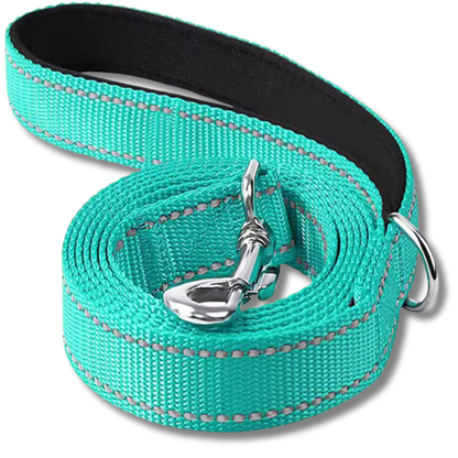 Reflective Classic Dog Leash