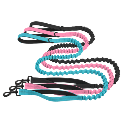 Matching Bungee Leash