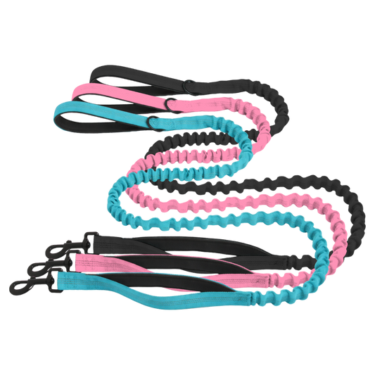 Matching Bungee Leash