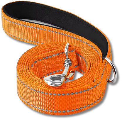 Reflective Classic Dog Leash