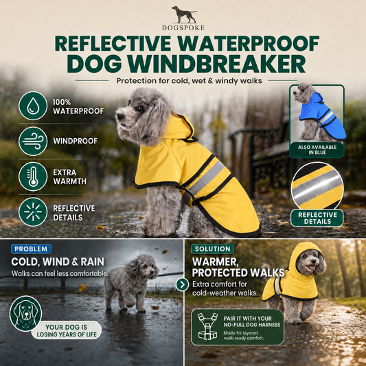 Reflective Waterproof Dog Windbreaker